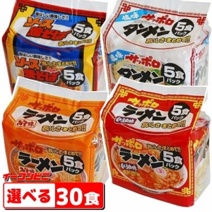 スナオシ　袋めん　5食入り×選べる6袋(計30食)　インスタントラーメン【送料無料(沖縄・離島除く)】