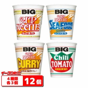 日清　カップヌードル　BIG（ビッグ）　4種　各3個セット（計12個）　【送料無料(沖縄・離島除く)】