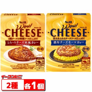 エスビー　WOW！CHEESE　レトルトチーズカレー2種各1個セット（チーズ欧風／チーズキーマ）【ゆうパケット3送料無料】