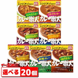 グリコ　カレー職人　170g　組み合わせ選べる20個　レトルトカレー【送料無料(沖縄・離島除く)】