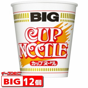 日清　カップヌードル BIG　1ケース（12個）　カップ麺　ラーメン　ビッグ 【送料無料(沖縄・離島除く)】