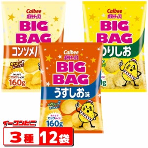 カルビー　ポテトチップス　BIGBAG(ビック・ビッグ)　160g　3種各4袋セット(計12袋)　うすしお・のりしお・コンソメパンチ【お菓子】【ス