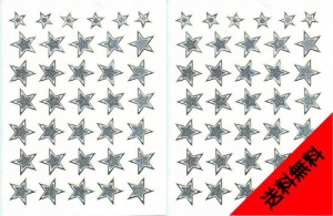 防水 ラメ PVC製 スター ステッカー 2点 セット 耐候 耐水 STAR 星 デザイン スーツケース ネームプレート ロッカー star gift seal card