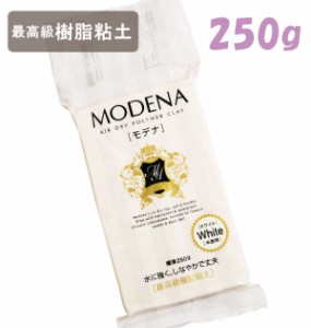 粘土 モデナ ホワイト 250g パジコ PADICO 通販 高級樹脂粘土 高級粘土 樹脂粘土 デコラージュ クレイクラフト クラフト ねんど 工作 学