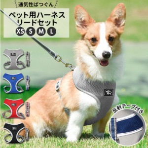 犬 リード ハーネス セット 通販 ハーネスリード 小型犬 可愛い 胴輪 犬用 中型犬 ペット用品 いぬ おしゃれ 散歩 反射 丈夫 シンプル か