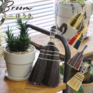 ほうき 室内 通販 ミニ ホウキ  掃除グッズ 掃除 かわいい 可愛い Broom ブルーム 室内 ポップ 玄関 子供 天然素材 おしゃれ オシャレ ナ