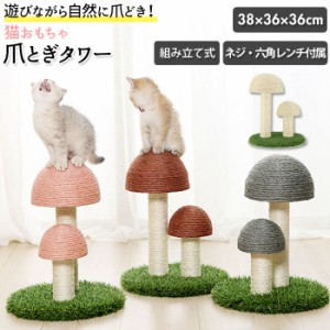 猫 爪とぎ ポール 通販 爪研ぎポール キャットタワー おもちゃ ネコ グッズ おしゃれ かわいい きのこ キノコ 傷防止 猫用 家具保護 玩具