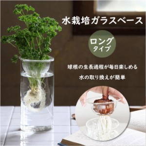 花瓶 ガラス 通販 BULB VASE バルブベース ロング KEGY4070 ガラスベース ガラス花器 かわいい 水栽培 容器 おしゃれ 球根 液肥 かわいい