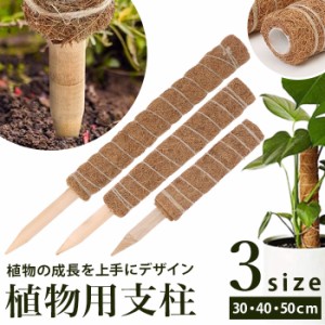 支柱 園芸 3サイズ  通販 鉢植え おしゃれ 植物支柱 観葉植物 ガーデニング ココナッツ支柱 モンステラ 添え木 つる性 ココナッツパーム