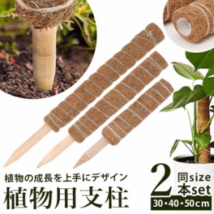 支柱 園芸 3サイズ通販 鉢植え おしゃれ 植物支柱 観葉植物 ガーデニング ココナッツ支柱 モンステラ 添え木 つる性 ココナッツパームス