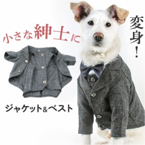 ペット 服 スーツ ベスト 犬 いぬ 通販 ジャケット コスチューム コスプレ ペット服 犬服 犬の服 ドッグウェア ペットウェア フォーマル 