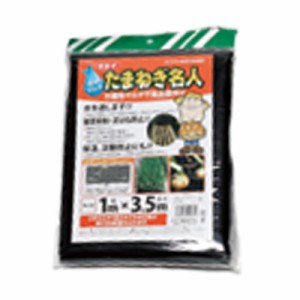 30枚 タキイ不織布マルチ たまねぎ名人 黒 1m × 3.5m 条間13cm 株間13cm 5条並列 ×字切込入り 玉葱 野菜 雑草 防止 農業 園芸 畑 タキ