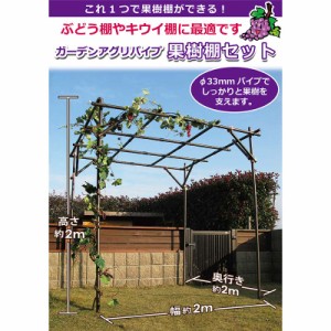 個人宅配送不可 ガーデンアグリパイプ 果樹棚セット 2m×2m ブラウン 第B 代引不可