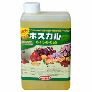 ホスカル 1L 亜リン酸液肥 液体肥料 サカタのタネ サT 代引不可