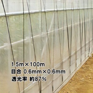 1.5m × 100m ナチュラル サンサンネット ソフライト SL3200 ビニールハウス トンネル などに 防虫ネット 日本ワイドクロス タS 代引不可