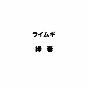 種 10kg ライムギ ライ麦 緑春 りょくしゅん レンズアブルッツィ 畑作 緑肥 雪印種苗 米S 代引不可 (登録品種名:レンズ アブルッツィ)