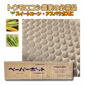 55冊 ペーパーポット No.2-264 264鉢分 角3.0×10.0cm 紙筒 ニッテン タS 個人宅配送不可 代引不可