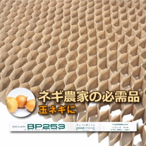 BPチェーンポット BP253 150冊（個）364鉢 播種 種まき 育苗 ネギ 玉ネギ bp253 チェーンポット 紙筒 ひっぱりくん ニッテン 日本甜菜製