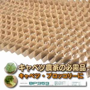 BPチェーンポット BP353 150冊（個）190鉢 播種 種まき 育苗 キャベツ ブロッコリー bp353 チェーンポット 紙筒 ひっぱりくん ニッテン 