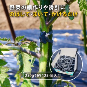 250g ( 約125本入 ) ゴムスビー 箱なし 園芸用 万能 輪ゴム 家庭菜園 棚作り 誘引 サカタのタネ サTZ メール便 ネコポス 送料無料