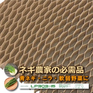 LPチェーンポット LP303-15 75冊（個）株間15cm 264鉢 播種 種まき 育苗 青ネギ ニラ 軟弱野菜 lp303-15 チェーンポット 紙筒 ニッテン 