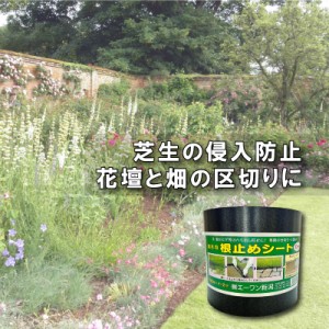 12巻入 園芸用 根止めシート 高さ15cm 長さ10m 厚さ2mm 根止め 芝 侵入 防止 花壇 ガーデニング 庭造り 家庭菜園 園芸 造園 エ1 DZ