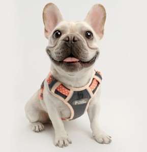 犬服 単品 犬用ジャケット ワンちゃん服 送料無料 お散歩 【ネイビー オレンジ イエロー ピンク】【XS-XL】gg8