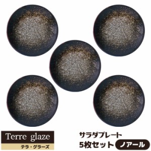 Terre glaze テラ・グラーズ サラダプレート 5枚セット ＜ノアール＞ 【取寄品】 中皿 お皿 丸皿 ケーキ皿 デザート皿 おしゃれ 食器セッ