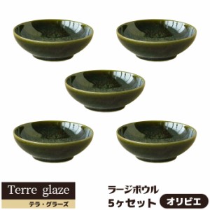 Terre glaze テラ・グラーズ ラージボウル 5ヶセット ＜オリビエ＞ 【取寄品】 スープボウル サラダボウル 中鉢 中皿 ボール おしゃれ 食