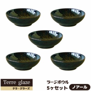 Terre glaze テラ・グラーズ ラージボウル 5ヶセット ＜ノアール＞ 【取寄品】 スープボウル サラダボウル 中鉢 中皿 ボール おしゃれ 食