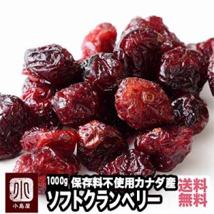 ソフト クランベリー カナダ産 1kg ドライフルーツ 宅急便 送料無料 保存料不使用 果物を丸のまま ドライの通販はau Pay マーケット ドライフルーツとナッツの専門店 上野アメ横 小島屋 商品ロットナンバー