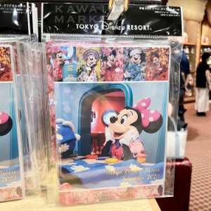 ディズニー 実写 スケジュール帳の通販 Au Pay マーケット