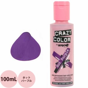 [ 定形外郵便 送料無料 ヘアカラー ] クレイジーカラー 62 ホットパープル / 100mL （C）