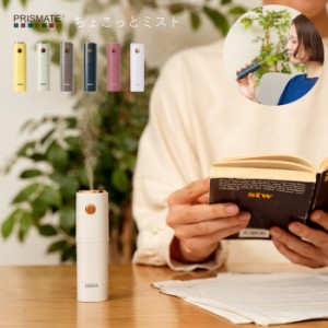 加湿器 卓上 携帯用 おしゃれ ポータブル加湿器 スチーム 充電式 ちょこっとミスト PR-HF053 コードレス 小型加湿器 小型 USB充電式 ミス