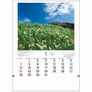 日本の山野草 2024 Calendar 壁掛けカレンダー2024年 フォト インテリア 令和6年暦 