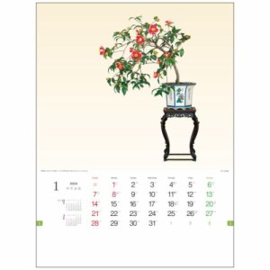 野草盆栽 2024 Calendar 壁掛けカレンダー2024年 フォト インテリア 令和6年暦 