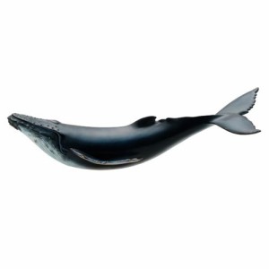 Amazon.co.jp: シュライヒ(Schleich) ワイルドライフ マッコウ