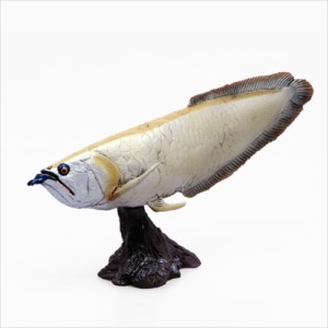 古代魚 フィギュア ソフトモデルフィギュア シルバーアロワナ 恐竜 玩具 グッズ