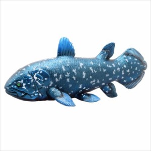 古代魚 フィギュア ビッグサイズフィギュア ソフトビニールモデル シーラカンス 恐竜 玩具 グッズ