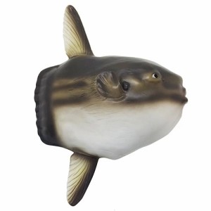 マンボウ フィギュア ソフビフィギア 魚 グッズ