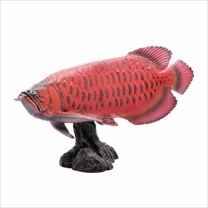 アジアアロワナ フィギュア ソフトモデルフィギュア 紅龍 古代魚 玩具グッズ通販