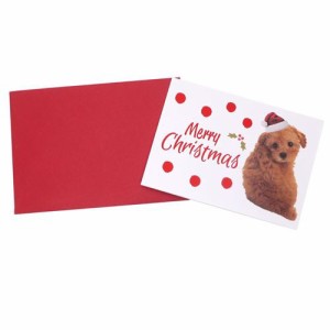 トイプードル グリーティングカード 封筒付きクリスマスカード 473 スプリング付き いぬ かわいい ギフト雑貨 グッズ メール便可