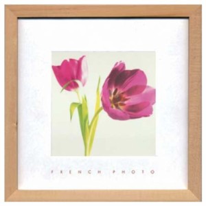 フレンチフォトグラフィー 写真 アート French Photography Puple Tulips ZFP-51894 額付き インテリア 取寄品