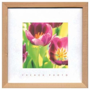 フレンチフォトグラフィー 写真 アート French Photography Tulips ZFP-51895 額付き インテリア 取寄品