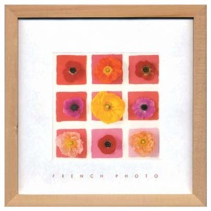 フレンチフォトグラフィー 写真 アート French Photography Nine Flower on nine squares ZFP-51915 額付き インテリア 取寄品