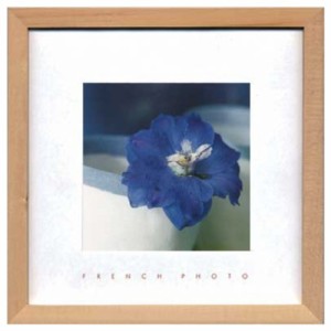 フレンチフォトグラフィー 写真 アート French Photography Delphinium elatum ZFP-51918 額付き インテリア 取寄品