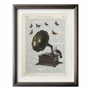 マリオン マコネギー アートフレーム Marion McConaghie Gramophone Bird＆Butterflies 壁掛け 額付き インテリア 取寄品