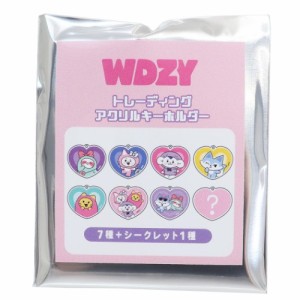 WDZY トレーディング アクリルキーホルダー 全8種 キーリング LINE FRIENDS キャラクター メール便可