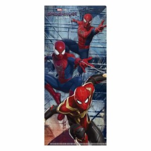 スパイダーマン ノーウェイ ホーム ミニ クリアファイル チケットホルダー MARVEL キャラクター グッズ メール便可