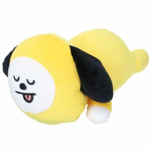 BT21 ミニ クッション もふもふうでまくら CHIMMY LINE FRIENDS キャラクター 商品